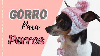 Gorro Para Perro a Crochet Medidas en la descripción  Victoria Palacio [upl. by Assenar]