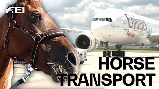 How the horses travel to the FEI World Equestrian Games™  Tryon 2018 [upl. by Gnen]