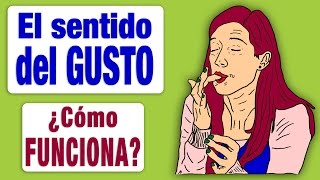 El Sentido del Gusto ¿Cómo Funciona [upl. by Ozkum]