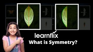 What is Symmetry Class 6 Math  Learnflix App [upl. by Isej951]