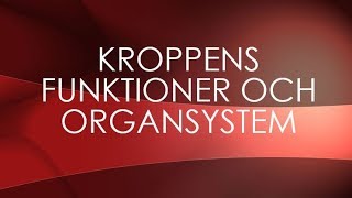 Människokroppen  organsystem [upl. by Veta868]