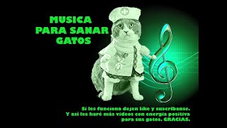 MUSICOTERAPIA PARA CURAR SANAR GATOS ENFERMOS  MÚSICA PARA GATOS 2020 larga duración sin publi [upl. by Drexler93]