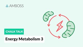 Energy Metabolism  Part 3 Regulation of Glycolysis [upl. by Adekan726]