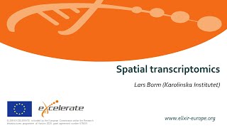 11 Spatial transcriptomics [upl. by Olracnaig]