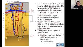 USMLE Step 1  Renal Physiology High Yield BRS Concepts [upl. by Maddis]