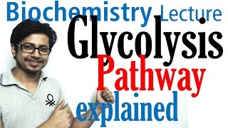 Glycolysis biochemistry [upl. by Amoritta]