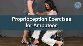 Balance Exercises for Amputees Proprioception [upl. by Sej]