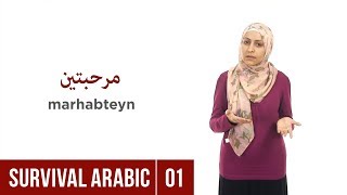 Survival Arabic Lesson 01  Greetings – How to say Hello in Arabic [upl. by Akemahs]