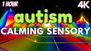 Autism Sensory Therapy Meltdown Remedy Soothing Visuals [upl. by Lierbag]