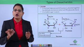 Biomolecules  Oligosaccharides [upl. by Buck]