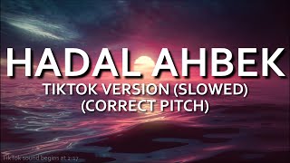 Hadal Ahbek TikTok Version Slowed CORRECTED PITCH  Issam Alnajjar [upl. by Rosette]