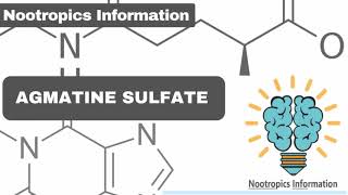 Agmatine Sulfate  Nootropics Information [upl. by Amalle375]