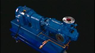 NASH Liquid Ring Vacuum Pump  How It Works [upl. by Nroht]