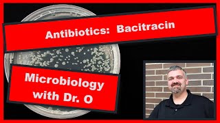 Bacitracin Antibiotic and Neosporin Microbiology [upl. by Naejarual896]