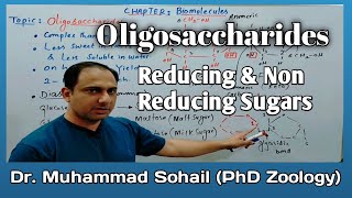 OligosaccharidesCarbohydratesReducing and non Reducing Sugars [upl. by Lithea]