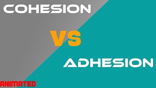 Cohesion vs Adhesion  Difference Between Cohesion and Adhesion  Tpoint Tech [upl. by Annayk]