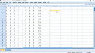 SPSS  Identifying Duplicates [upl. by Addison]