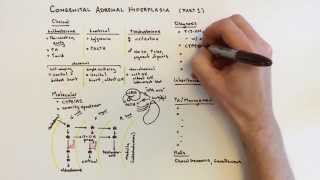 Congenital Adrenal Hyperplasia CAH  1 of 2 [upl. by Annail]