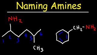 Naming Amines  IUPAC Nomenclature amp Common Names [upl. by Vania172]