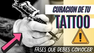 FASES de CURACIÓN de un Tatuaje en El Buho de Papel [upl. by Hy363]