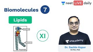 Biomolecules  L 7  Lipids  Class 11  Unacademy NEET  LIVE DAILY  NEET Biology  Sachin Sir [upl. by Alius]