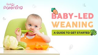 BabyLed Weaning BLW  How to Get Started Plus Foods to Feed amp Avoid [upl. by Rigdon]