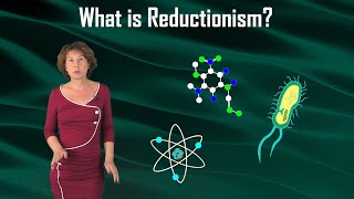 What is Reductionism [upl. by Sedberry]