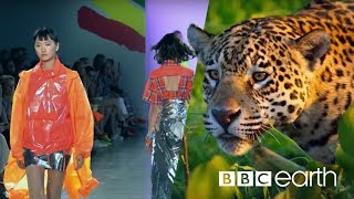 Can Fashion Be Sustainable  BBC Earth [upl. by Llenyl]