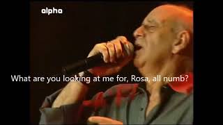 Dimitris Mitropanos  Rosa English Lyrics [upl. by Ariella]