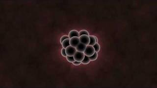 Cell To Embryo [upl. by Scriven]