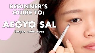 HOW TO Create amp Define Aegyo Sal OR Cute Eye Fat OR Puffy Eye Bags lol 😂  Beginner Tutorial [upl. by Cunningham]