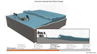 Hurricane Storm Surge [upl. by Adyam186]