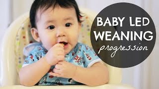 BABY LED WEANING BLW Progression 610 Months [upl. by Onurb943]