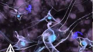 How Neurotransmission amp brain signals work  3D animation [upl. by Nnitsuj433]