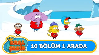 10 Bölüm 1 Arada 3  Kral Şakir [upl. by Toh]