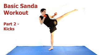 Basic Sanda workout Part 2  Kicks [upl. by Bedell470]