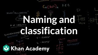 Carbohydrates  naming and classification  Chemical processes  MCAT  Khan Academy [upl. by Aeuhsoj630]