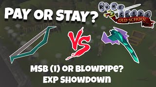 Pay or Stay 22  Nerfed Blowpipe vs MSBi  OSRS NMZ [upl. by Airtemad]