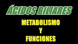 Ácidos biliares  Metabolismo y Funciones [upl. by Nannette]