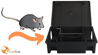 Bait Box For Rats  Professional Rat Bait Box Rat Bait Station [upl. by Legnalos]