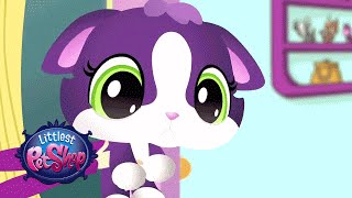 Littlest Pet Shop  Meow Manor [upl. by Etakyram]