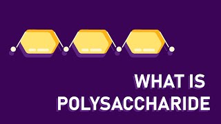 What are polysaccharides [upl. by Aridnere]