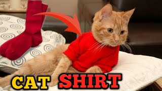 Diy cat shirt with socks at home [upl. by Anaili]