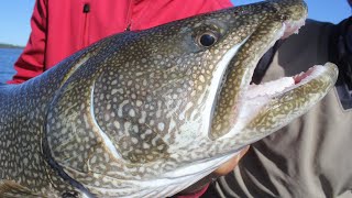 Lake Trout Jigging Techniques That Guides Dont Want You to Know [upl. by Christabel]