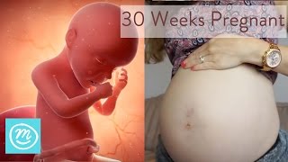 30 Weeks Pregnant What You Need To Know  Channel Mum [upl. by Ynaffik]