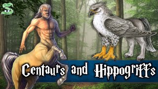 The History Of Centaurs And Hippogriffs Explained [upl. by Ttam617]