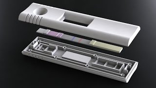 DCN Diagnostics Lateral Flow Assay Development [upl. by Florence]