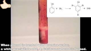 Reaction of Bromine with Phenol [upl. by Shari497]