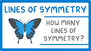 GCSE Maths  Lines of Symmetry 98 [upl. by Eural418]