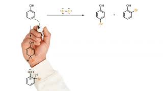 Bromination of phenol [upl. by Yenobe437]